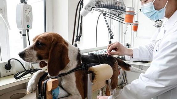 宠物医院要做的环保项目！