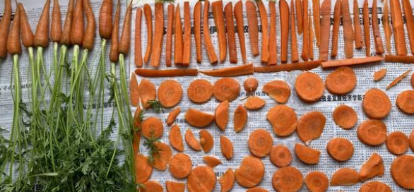 兔子吃什么？这些食材很常见，收藏后可自制兔粮啦