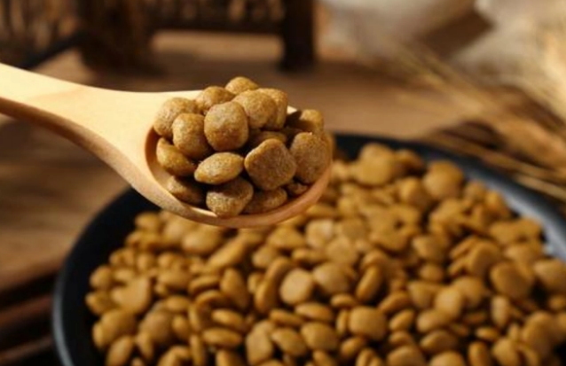 优质狗粮怎么选？看完能让你挑到好狗粮！