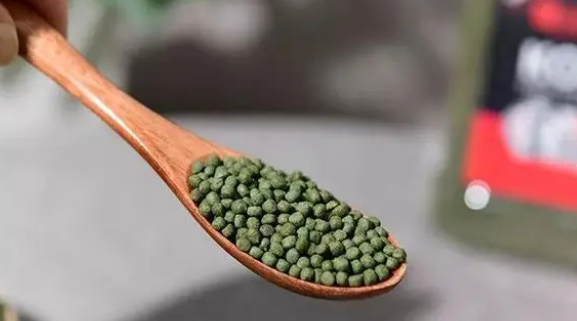 用好饲料喂饱的观赏鱼，体色靓丽更好看