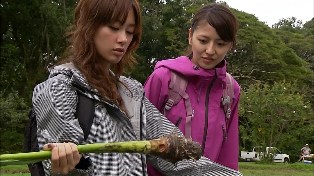 女子自行车夏威夷游记(2009)的剧照 女子自行车夏威夷游记(2009)的剧照