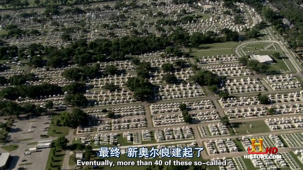 人类消失后(2009)的剧照 人类消失后(2009)的剧照