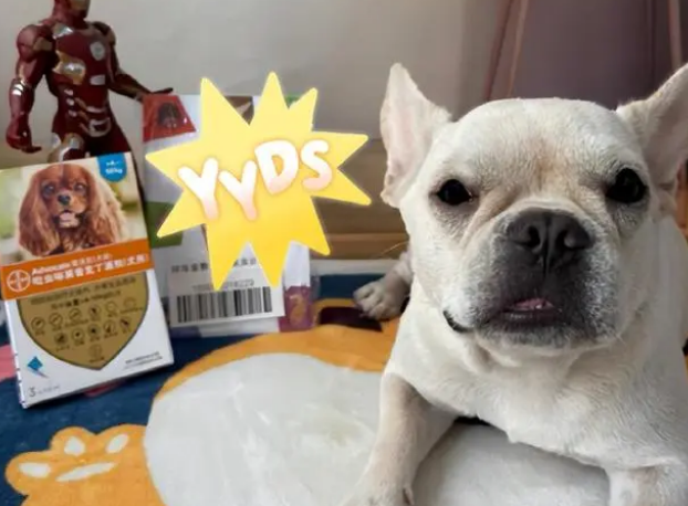 狗狗驱虫药就用爱沃克，体内外驱虫放心之选