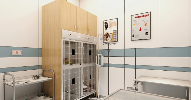 开一家宠物医院要多少钱