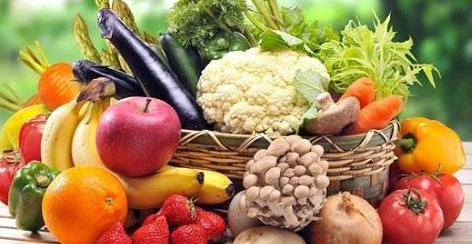 小狗感冒吃什么感冒药效果快