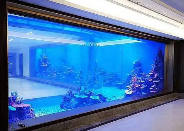 告诉你鱼缸中水质与藻的关系