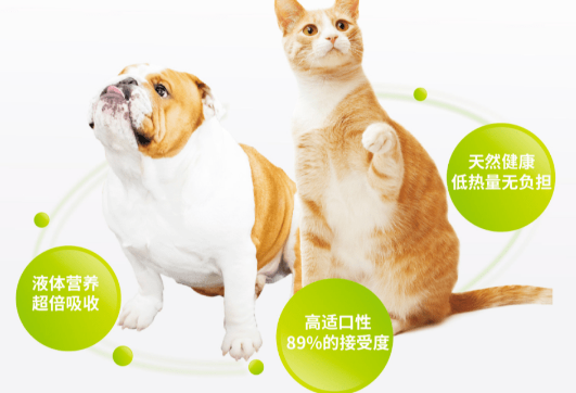 专注研究犬猫营养液13年——Viyo唯优来了！