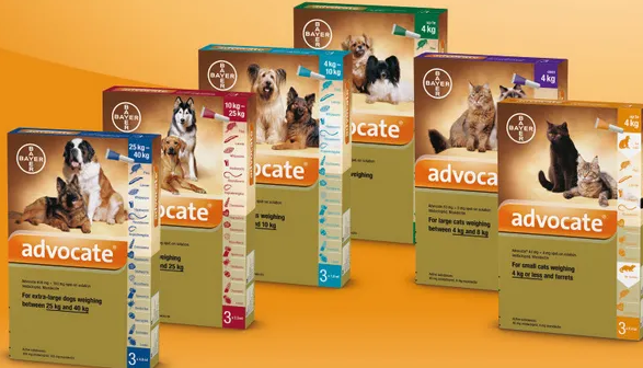 爱沃克内外同驱访谈|这些功能你都了解吗？