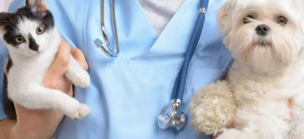 开一家宠物医院需要什么条件