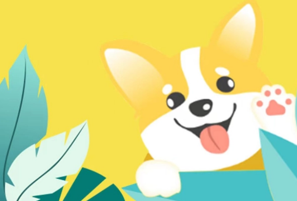 宠物托运航空箱丨教你挑选适合猫咪用的品牌航空箱 宠物托运航空箱丨教你挑选适合猫咪用的品牌航空箱