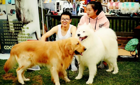 盖夫携手麓客岛，萌宠FUNNY集结派对