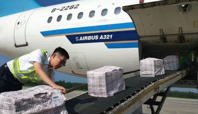 宠物托运基本常识！检疫证明办理了都不能托运！