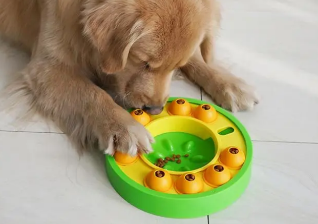 你真的会选宠物玩具吗?宠物玩具产品展示之“狗狗玩具” 你真的会选宠物玩具吗?宠物玩具产品展示之“狗狗玩具”