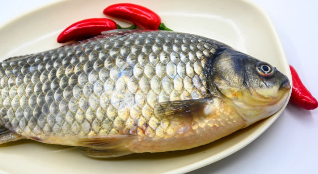 新冠病毒在鱼身上能存活吗?答案是能! 新冠病毒在鱼身上能存活吗?答案是能!