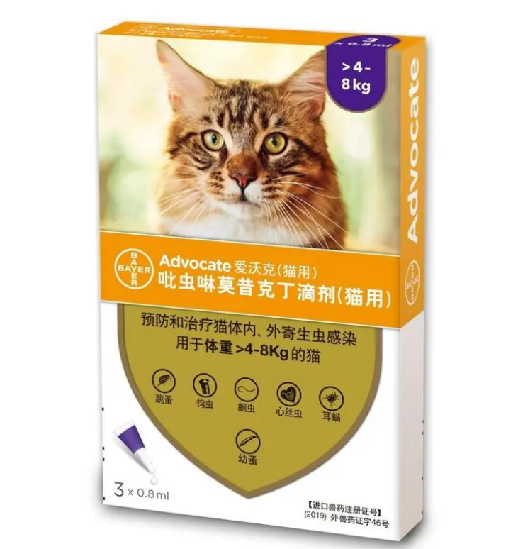 小猫多大可以驱虫，爱沃克教你正确驱虫法