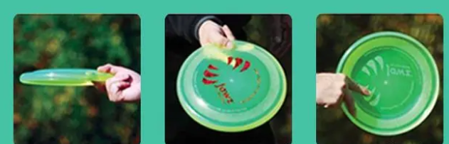 飞盘犬的详细训练，系统的从选盘到抛盘......