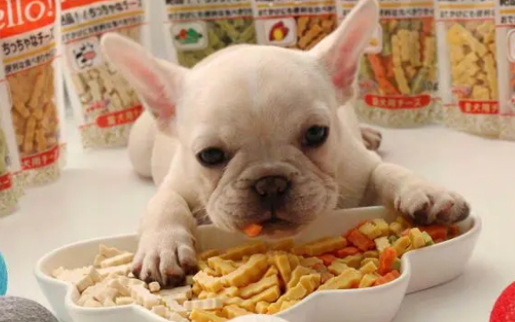 宠物狗一般喜欢吃什么?来看看这些零食吧 宠物狗一般喜欢吃什么?来看看这些零食吧