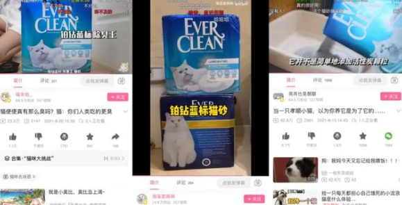 与年轻铲屎官“玩”在一起，铂钻猫砂的趣味化营销品效双赢