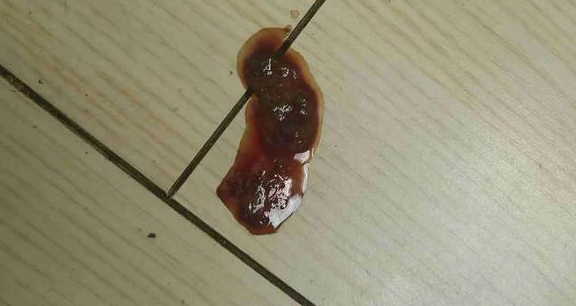 学会治疗细小，从此告别宠物医院！挽救细小中晚期的成功经验分享