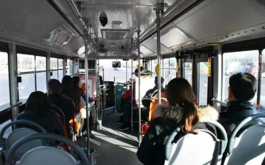 猫也可以乘坐公共交通吗？好奇的小伙伴快来看看吧~