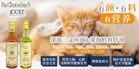 德国克劳德医生参加长城大学宠物国际论坛