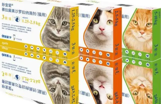 猫咪体内外驱虫用什么药？宠物医生为你答疑解惑！