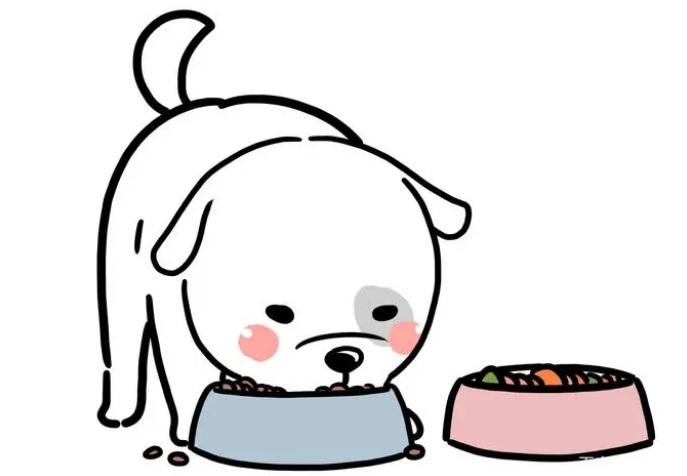 换粮不慎可能会让狗子腹泻！看完涨知识