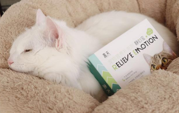 猫咪发情别慌乱,盖夫静心宝来支招 猫咪发情别慌乱,盖夫静心宝来支招