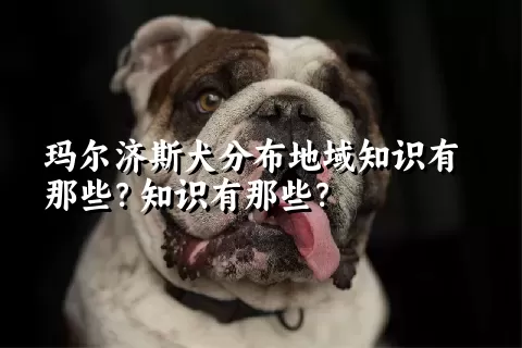 玛尔济斯犬分布地域知识有那些?知识有那些?