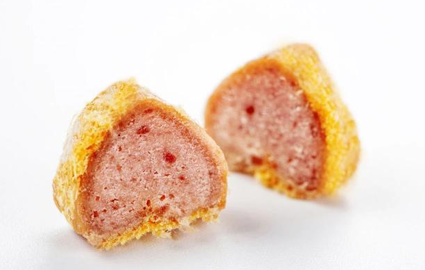 宠物新国货大会圆满落幕，盖夫荣获年度创新产品