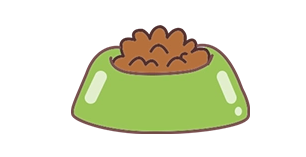 国庆长假，猫咪寄养还是带回家？猫咪居家留守攻略