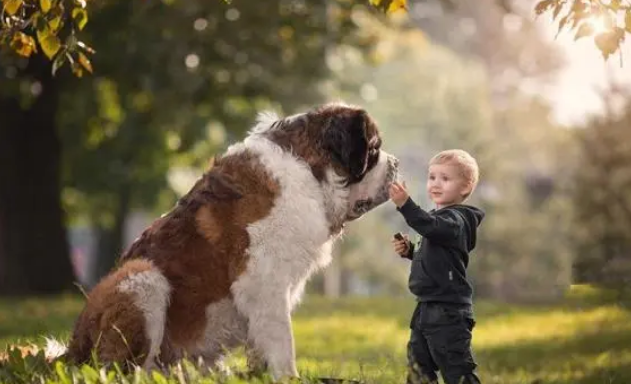 大宠爱|宠物为什么要驱虫,看完这些就知道了 大宠爱|宠物为什么要驱虫,看完这些就知道了