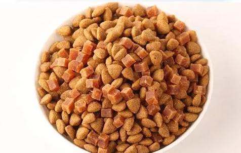 猫咪拉稀吃阿莫西林行不 猫咪拉稀吃阿莫西林行不