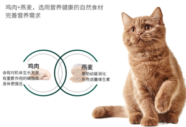 铲屎官注意!猫咪换新粮有过渡期,过快换粮可能会引起厌食情况 铲屎官注意!猫咪换新粮有过渡期,过快换粮可能会引起厌食情况