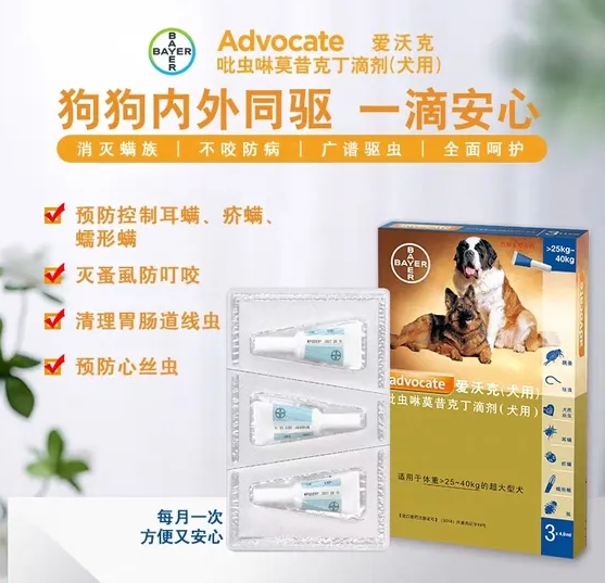 爱沃克内外同驱访谈|这些功能你都了解吗？