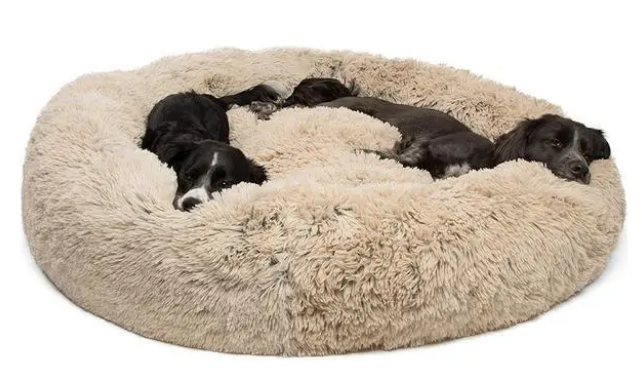 狗窝种类这么多，主人怎么选？