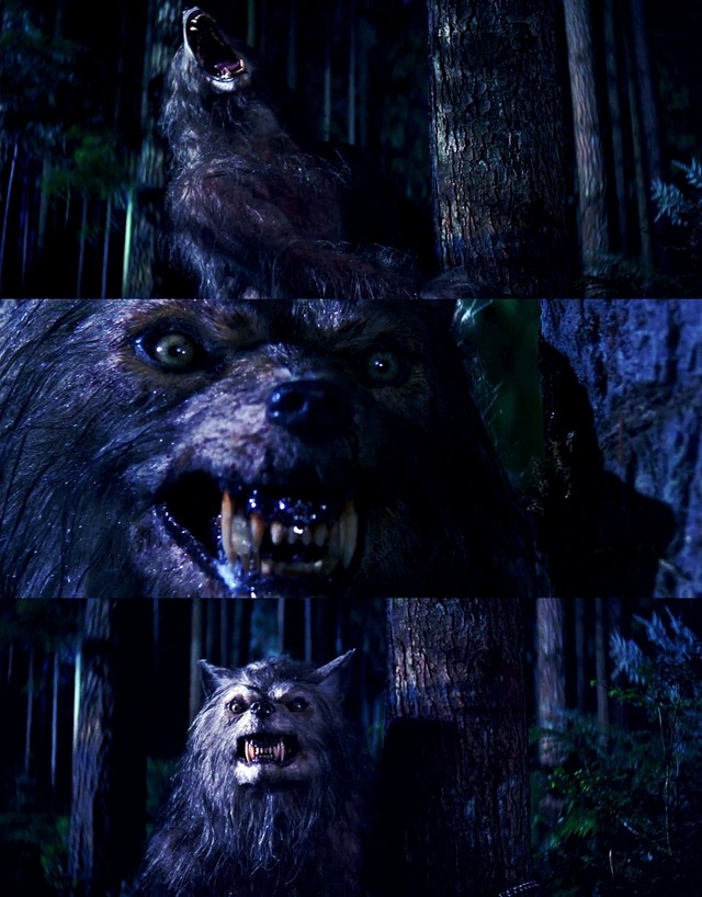 鬼哭神嚎(1996)的剧照 鬼哭神嚎(1996)的剧照