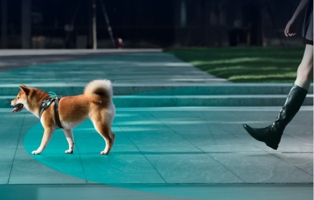 愚人节咱不开玩笑的 宠物都已经用上黑科技装备了