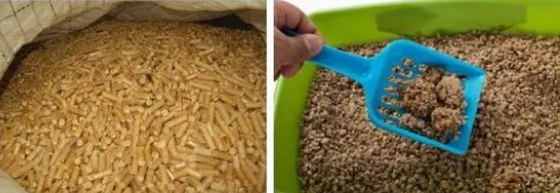 养猫必读——猫砂有毒？铲屎官怎么选择安全猫砂？