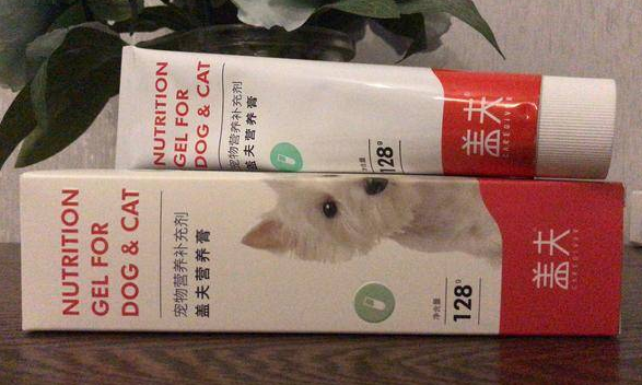 假期带宠出行游玩，盖夫营养膏帮助恢复体能