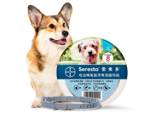 狗狗体外驱虫怎么做，索来多长效守护