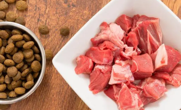 狗粮是用什么配方做的？来看看这篇文章吧