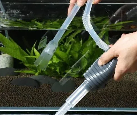 鱼缸水质长期呈现乳白色，归根结底还是过滤问题，我们如何改善？