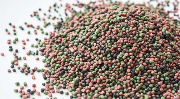 鸣禽类笼鸟的饲料要怎么调配?看完自己就会做了! 鸣禽类笼鸟的饲料要怎么调配?看完自己就会做了!