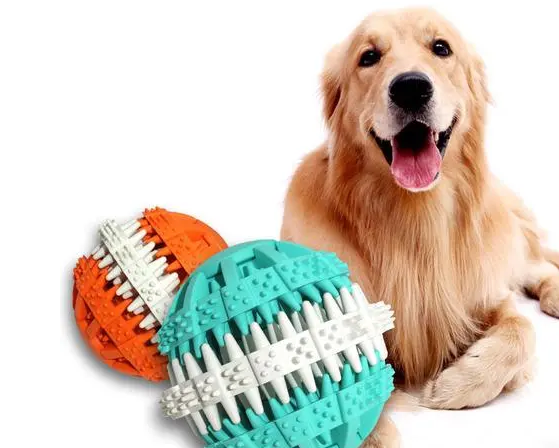 新手养宠必备宠物玩具，铲屎官们别不知道！