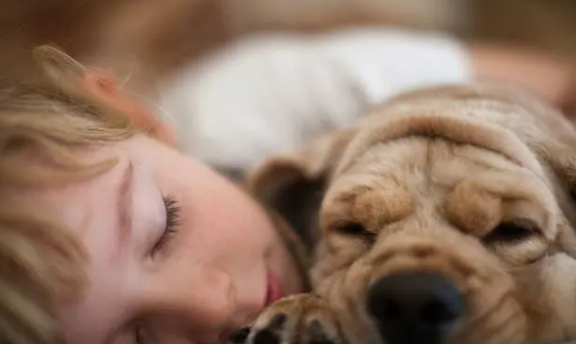 独角兽新瑞鹏赴美IPO,谁是背后赢家? 独角兽新瑞鹏赴美IPO,谁是背后赢家?