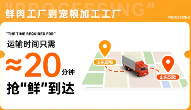 一路直率：宠率2.0升级后都有哪些改变呢？