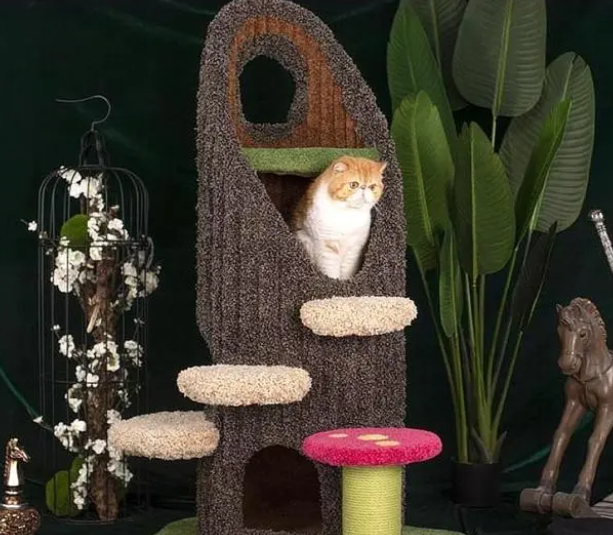 注意猫爬架！这3起“意外事故”皆因它而起