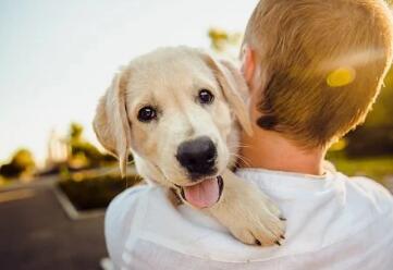 硬汉普京的狗来头有多大？戳进来看看！