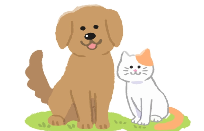 到底什么是宠物殡葬，具体的流程是什么？详解如下